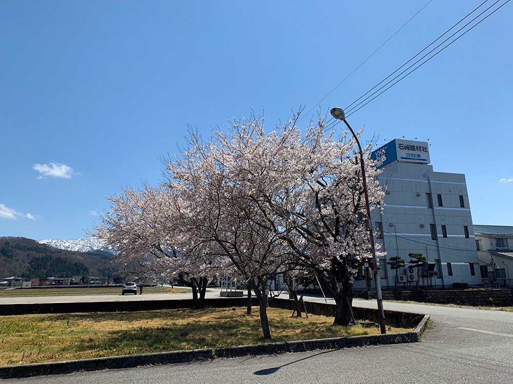 春の石崎建材社　社屋